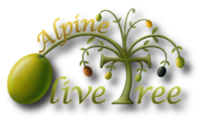 Alpine Olive Tree